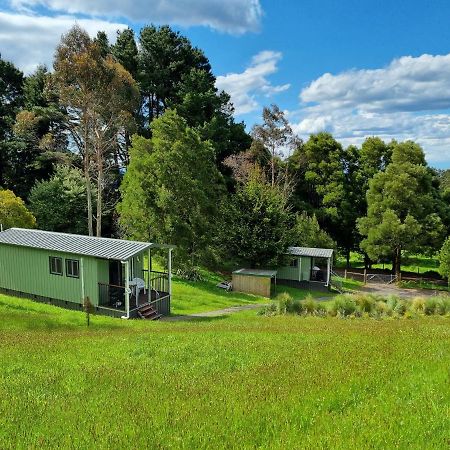 Cozy Otways Accommodation Beech Forest Exterior foto