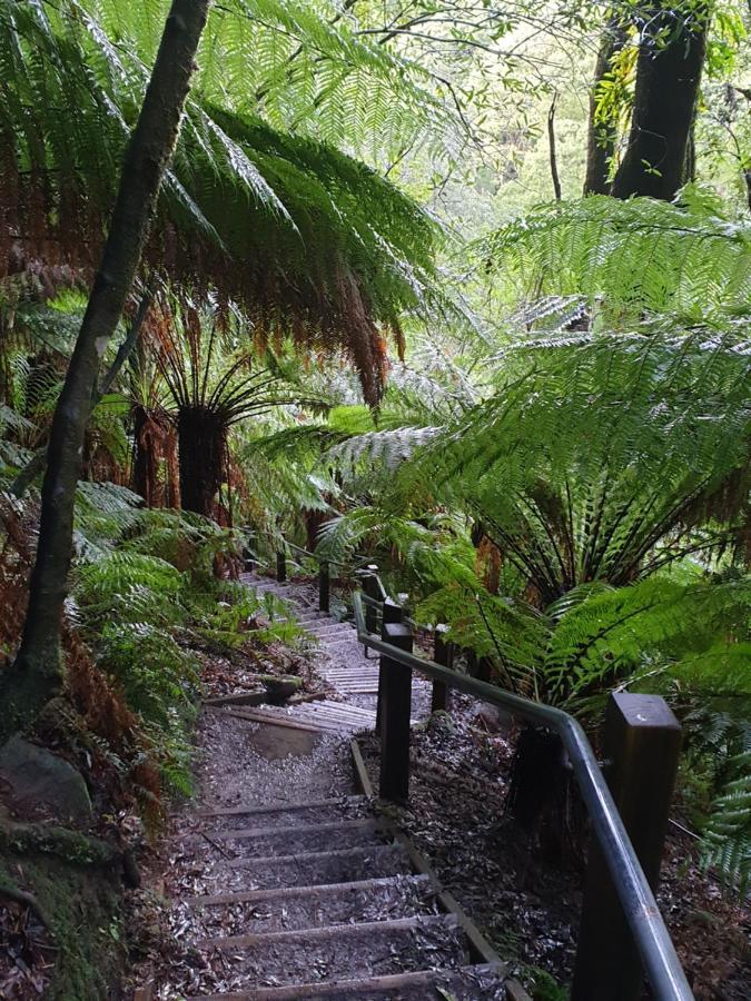 Cozy Otways Accommodation Beech Forest Exterior foto