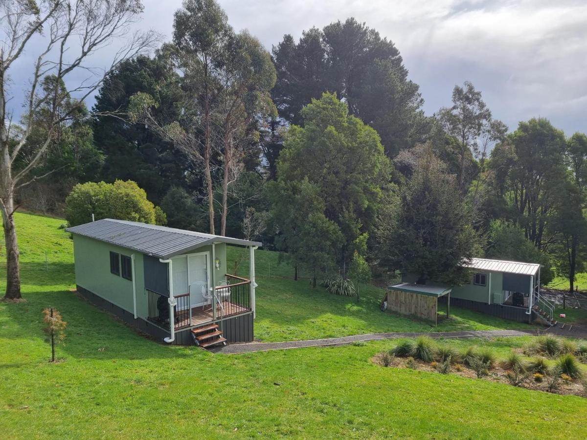 Cozy Otways Accommodation Beech Forest Exterior foto